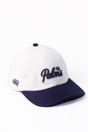 Boné Palms azul