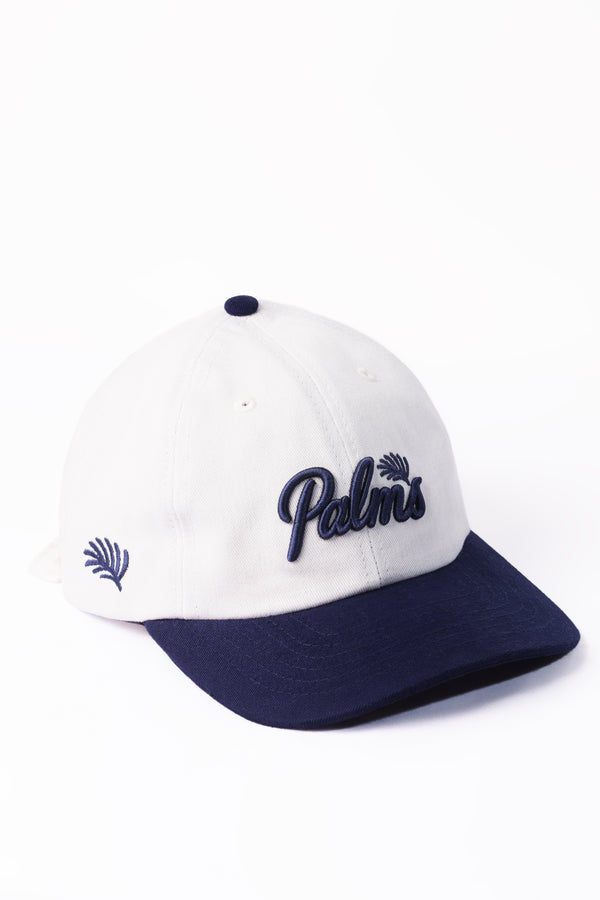 Boné Palms azul